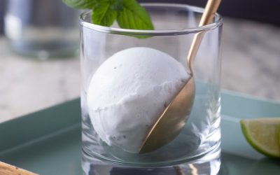 Sorbete de Mojito